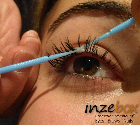 Micro-Brush Prestations Regard inZEbox