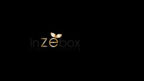 Primer d'accroche inZEbox - Prestations Regard