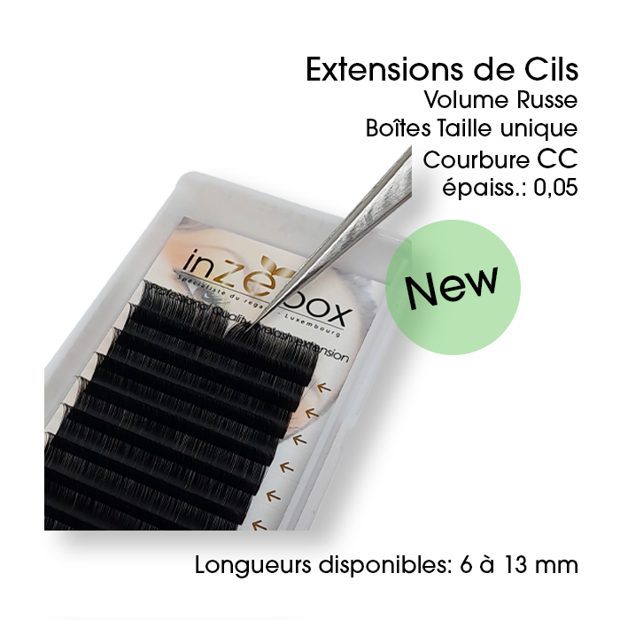 Boîtes Extensions de cils Volume Russe inZEbox
