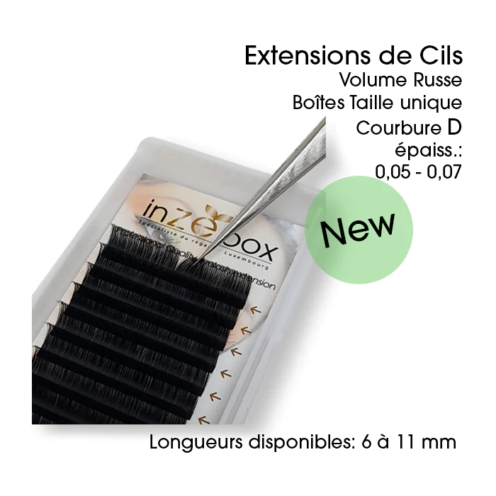 Boîtes Extensions de cils Volume Russe inZEbox