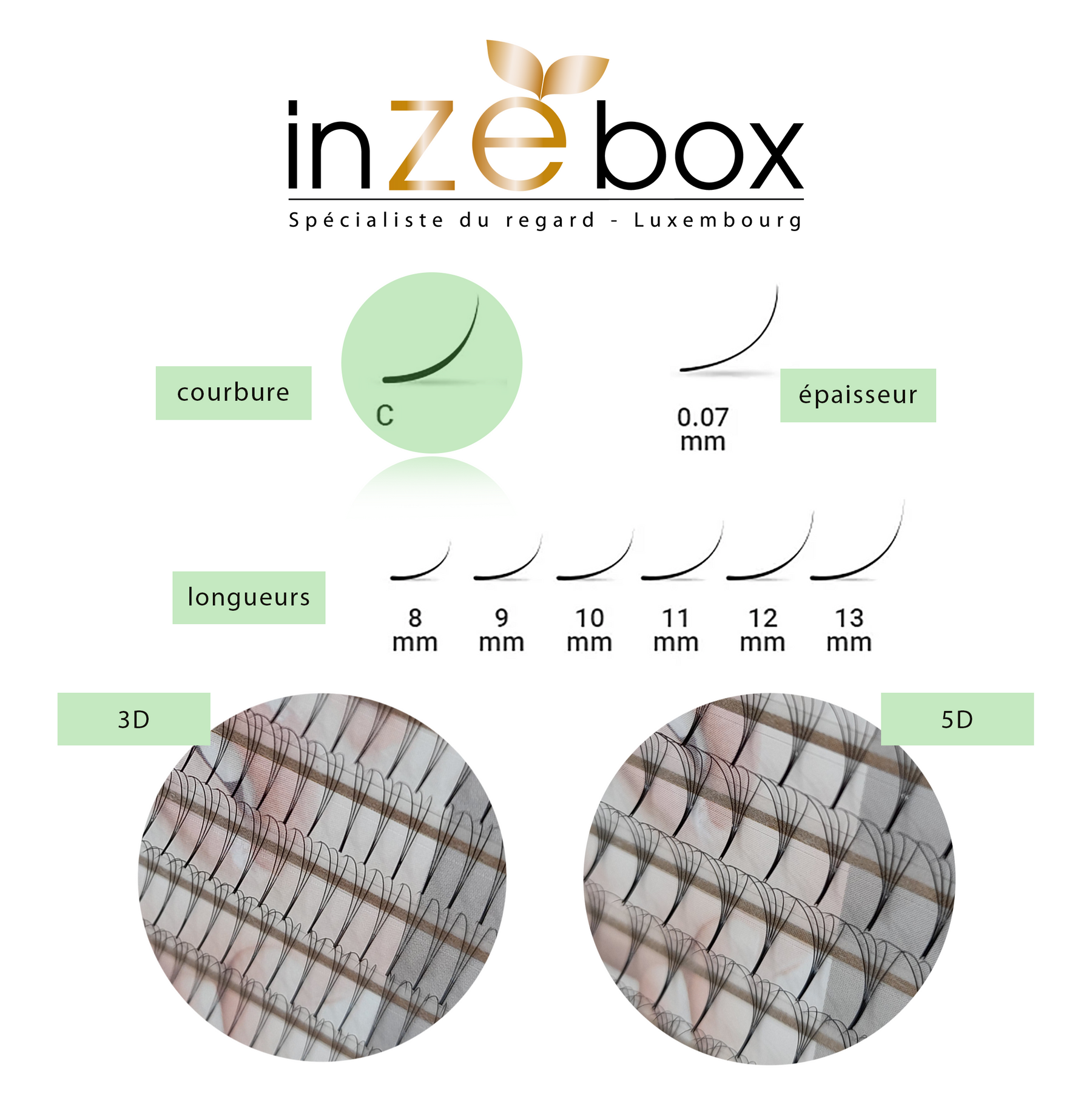 Types de courbures Extensions de cils inZEbox