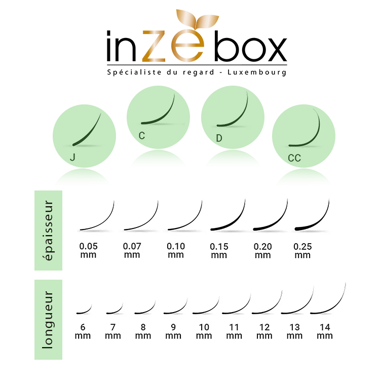 Types de courbure Extensions de cils inZEbox