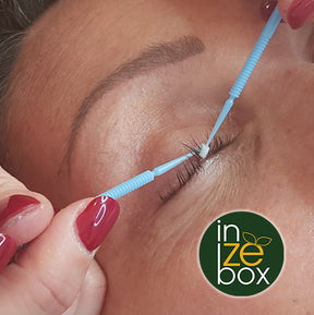 Primer d'accroche inZEbox - Prestations Regard