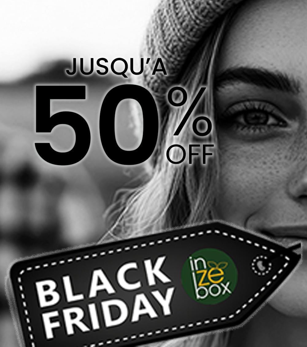 Black Friday inZEbox 2025