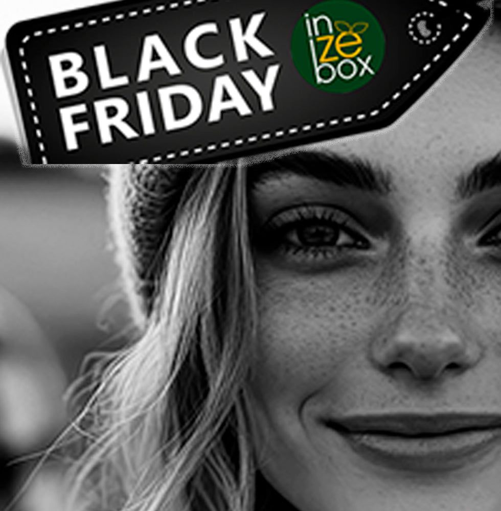 Black Friday inZEbox 2025