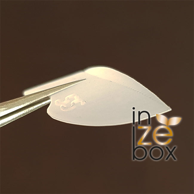 inzebox Rehaussement de cils Pad silicone SS, Le bombé est spécial pour les petits cils